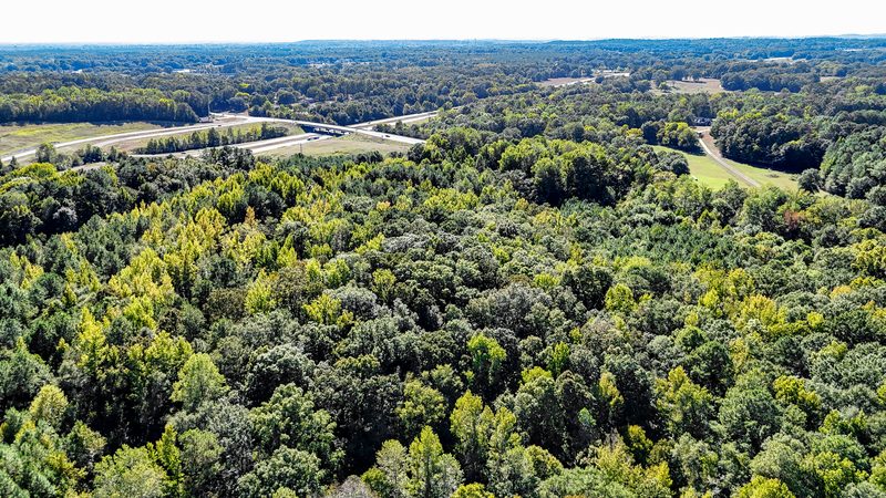 Aerial view across a tract of hardwood timber with the highway running along one edge