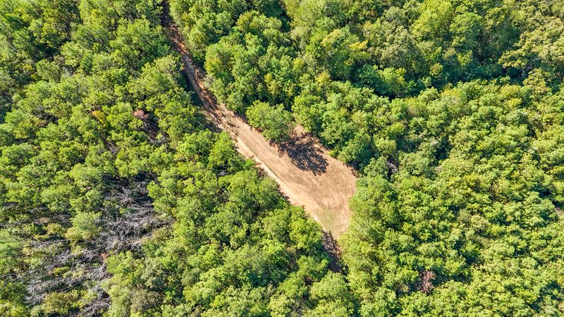 Aerial photo looking down on a cleared path winding through heavy tree cover