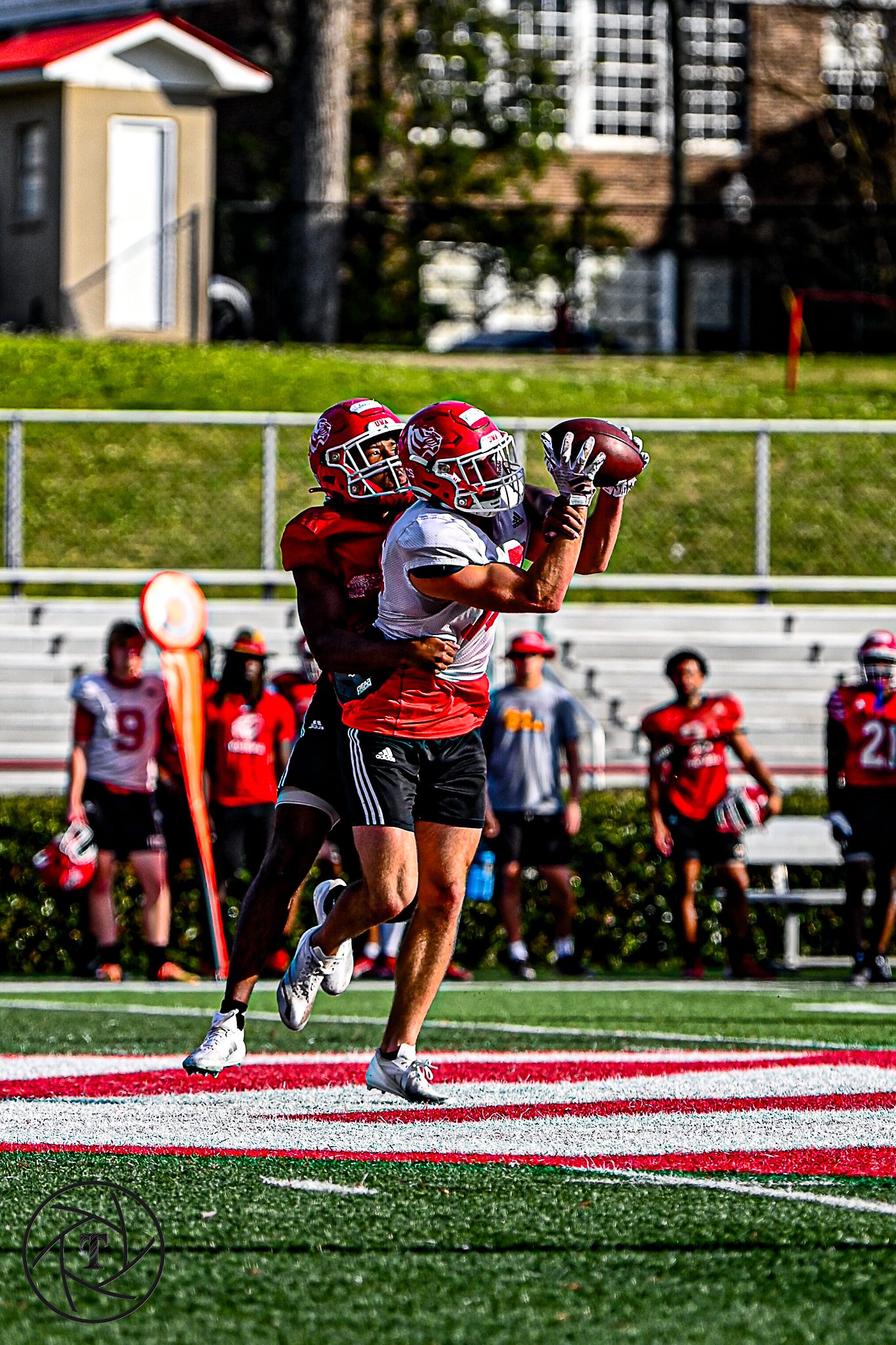 West Alabama football players celebrating a touchdown in the end zone
